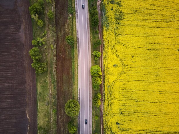 Straße mit Autos durch das Feld Luftaufnahme des Frühlingsrapsblumenfeldes, Vogelperspektive von einer Drohne einer vorbeifahrenden Rapsernte