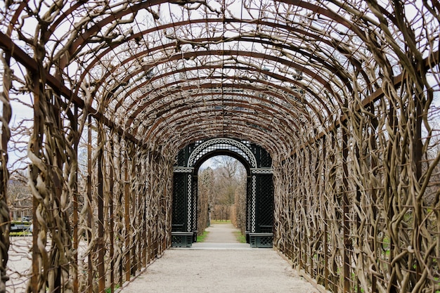 Straße mit einem Dach aus Kletterpflanzen und einer verzierten Tür unten. Schlossgärten Schönbrunn.