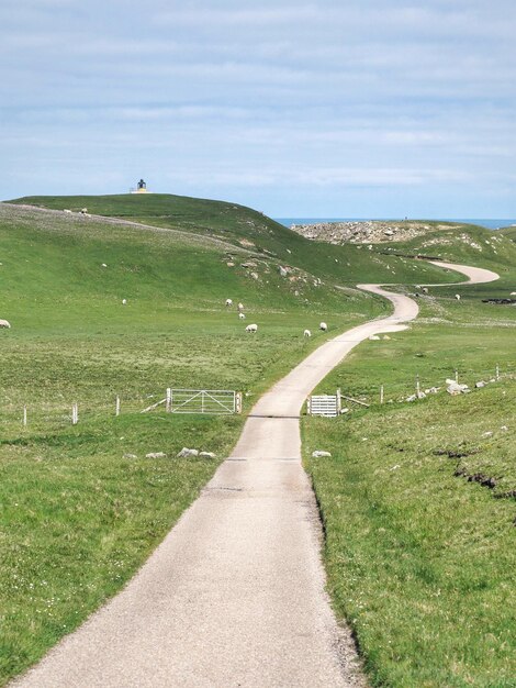 Foto straße mitten auf dem feld gegen den himmel