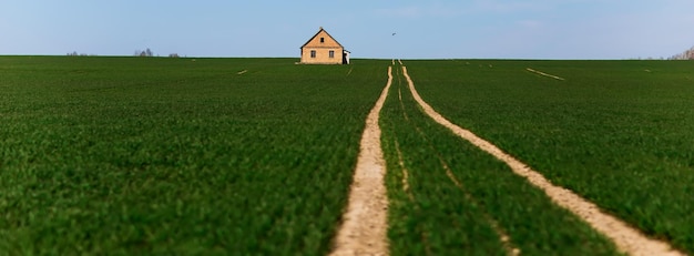 Straße mitten in einem grünen Feld