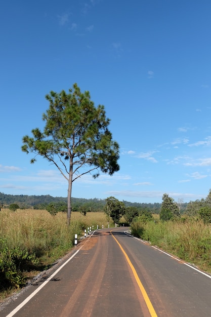 Straße und blauer Himmel