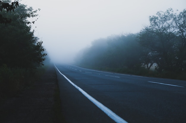 Straße und Wald im Morgennebel bedeckt