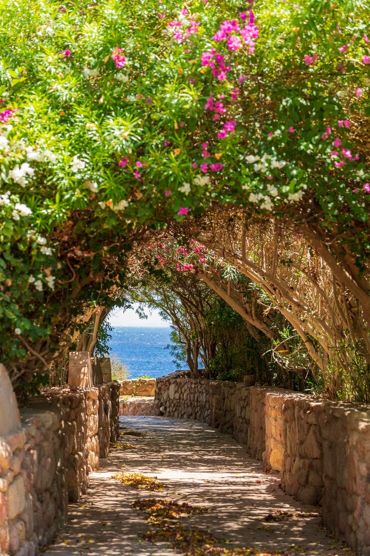 Straße zum Meer durch einen Tunnel mit bunten Blumen in Sharm El Sheikh Ägypten