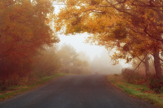 Straße zum Nebel