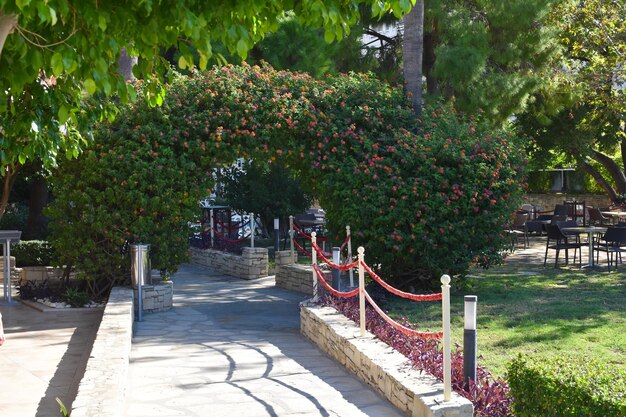 Straße zum Spazierengehen im Park am Meer entlang. Steinwegpromenade in einem grünen Park