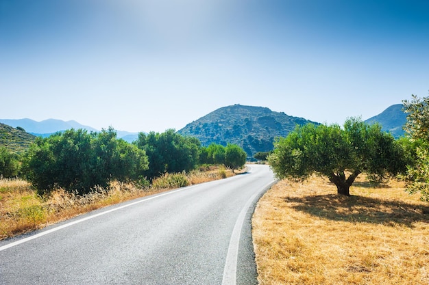 Straße zwischen den Bergen und Olivenhainen. Schöne Sommerlandschaft. Insel Kreta, Griechenland