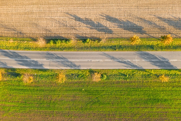 Straße zwischen grüner Wiese und kultiviertem Boden mit gelben Bäumen bei Sonnenuntergang im Herbst. Luftbild auf leerem Asphalt-Speedway oder Baumgasse.