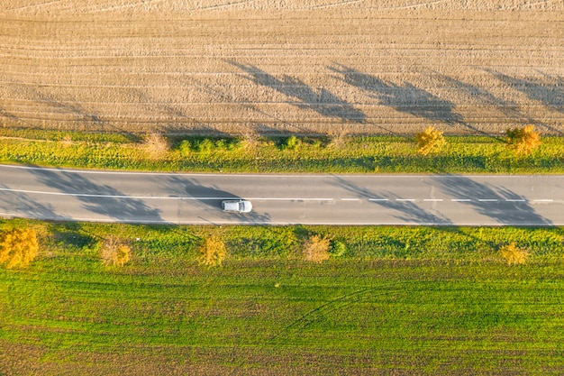 Straße zwischen grüner Wiese und kultiviertem Boden mit gelben Bäumen bei Sonnenuntergang im Herbst mit Auto. Luftaufnahme auf Asphaltschnellstraße oder Baumgasse.