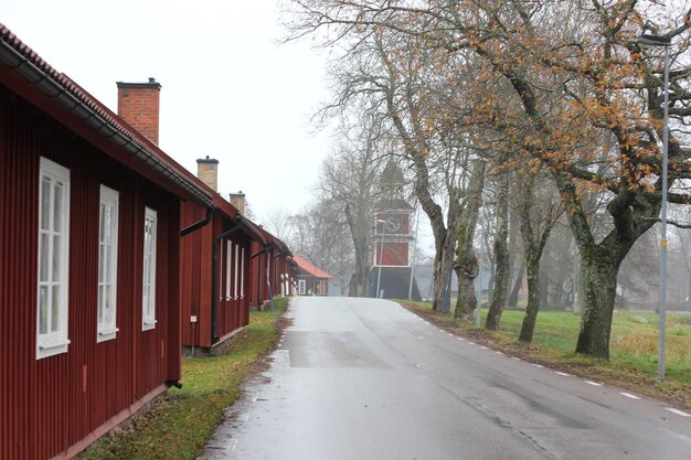 Straße zwischen Häusern und Bäumen