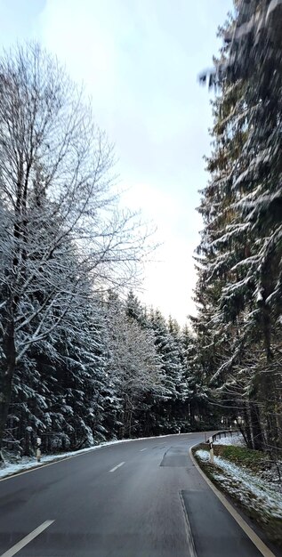 Straße zwischen schneebedeckten Bäumen