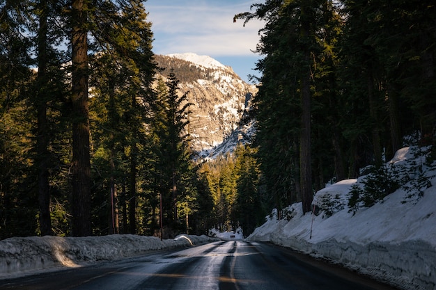 Straßen durch Sequoia National Park in Kalifornien