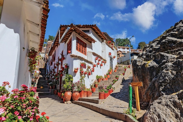 Straßen von sieben kleinen Schafen in der Stadt Cusco, Peru