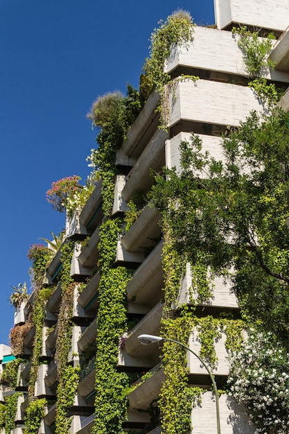 Straßenansicht in Madrid