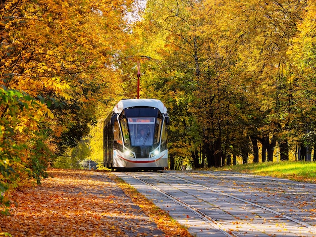 Straßenbahnfahrten im Herbsttunnel. Straßenbahnschienen im Korridor der gelben Herbstbäume in Moskau.