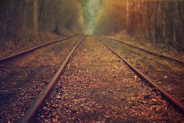 Straßenbahnschienen im Herbstwald, Vintage-Hipster-Hintergrund. Reise-, Freiheits- und Hoffnungskonzept.