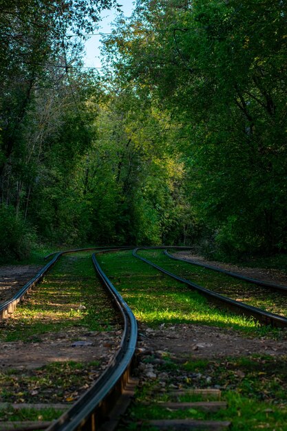 Straßenbahnschienen sind im Park verlegt