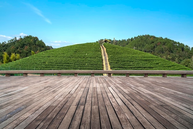 Straßenboden und Naturkulisse im Freien