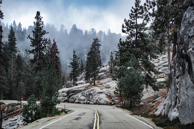 Straßenkurve auf dem Weg zum Sequoia-Nationalpark