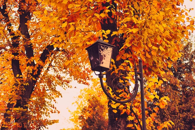 Straßenlaterne im Herbstpark