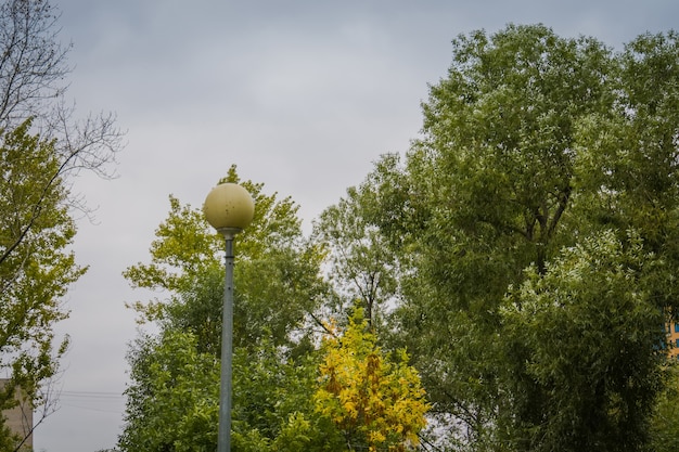 Straßenlaterne im Park