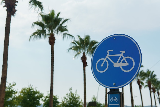 Straßenschild eines Radwegs vor dem Hintergrund des klaren Himmels und der Palmen.