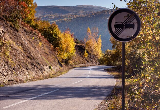 Foto straßenzeichen durch bäume