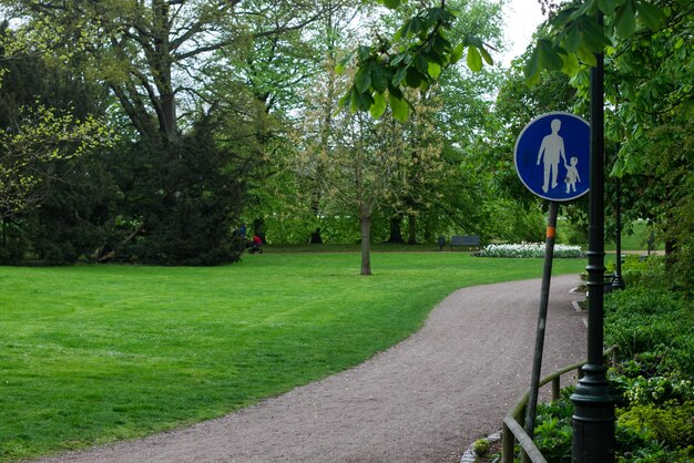 Foto straßenzeichen von bäumen auf dem feld.