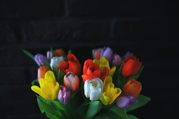 Strauß bunter Tulpen / Frühlingsblumen, helle schöne Blumen, Frühlingsgeschenkkonzept