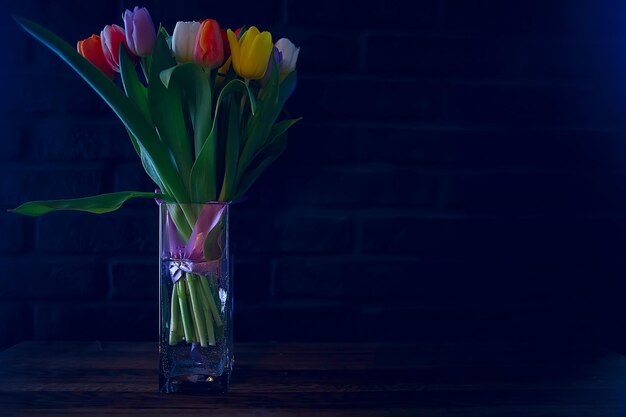Strauß bunter Tulpen / Frühlingsblumen, helle schöne Blumen, Frühlingsgeschenkkonzept