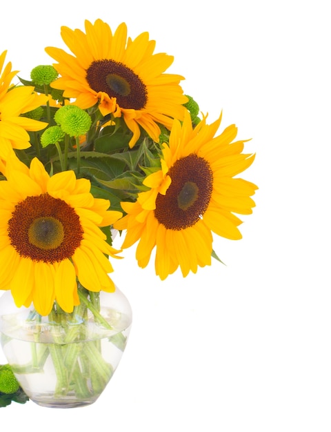 Strauß der frischen hellen Sonnenblumen in der Vase schließen oben isoliert