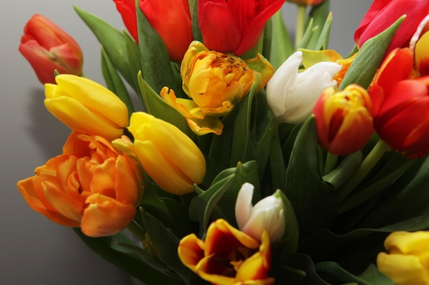 Strauß der frischen Tulpen