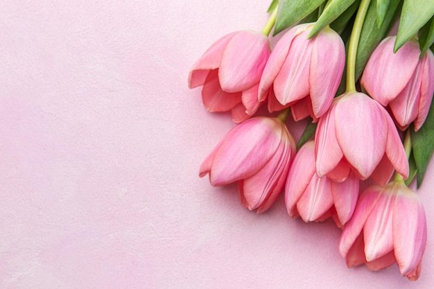 Strauß der rosa Tulpen auf rosa Hintergrund