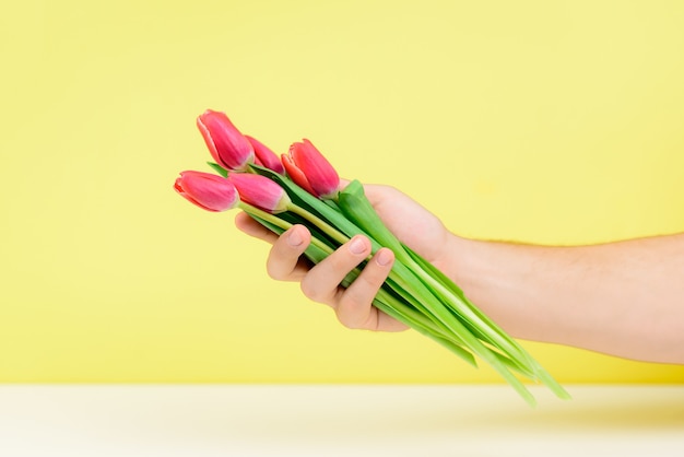 Strauß der rosa Tulpen in einer männlichen Hand auf einer gelben Wand.