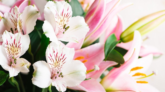 Strauß der weißen Alstromeria-Blumen und der rosa Lilien-Nahaufnahme auf einem weißen Hintergrund. Blumenfrühlingshintergrund mit freiem Platz für Text, Kopienraum. Zusammensetzung mit schönen blühenden Blumen.