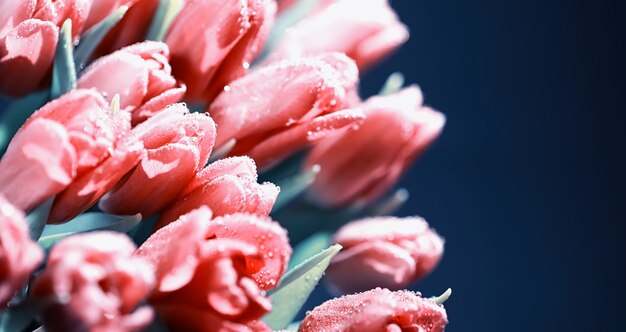 Strauß frischer blumen. weihnachtsgeschenk für ihren liebsten. hintergrund valentinstag. rose, tulpe, iris-blumenarrangement.