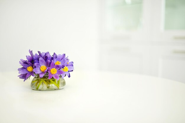 Strauß frischer Frühlingsblumen in einer Vase auf dem Tisch im Inneren Schneeglöckchen lila violett blaue Glocken