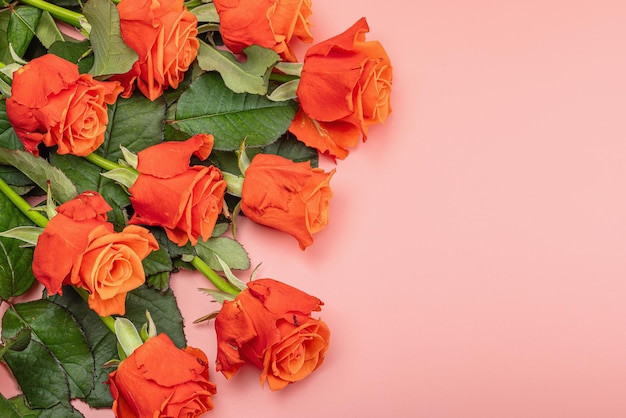 Strauß frischer, leuchtender Rosen auf pastellrosa Hintergrund. Romantisches Geschenkkonzept, Grußkarte zum Valentinstag, Frauen- oder Muttertag, Hochzeitstag, Geburtstag, flache Lage von oben