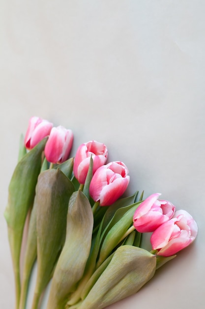 Strauß frischer rosa tulpen auf grünem hintergrund