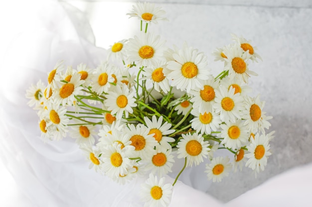 Strauß Gänseblümchen in einer Vase