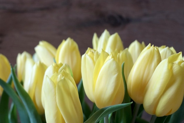 Strauß gelber frischer Tulpen in einer Vase