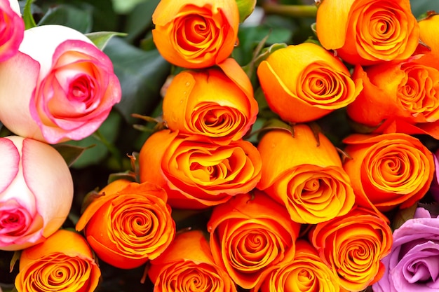 Strauß gelber Rosen auf dem Blumenmarkt,