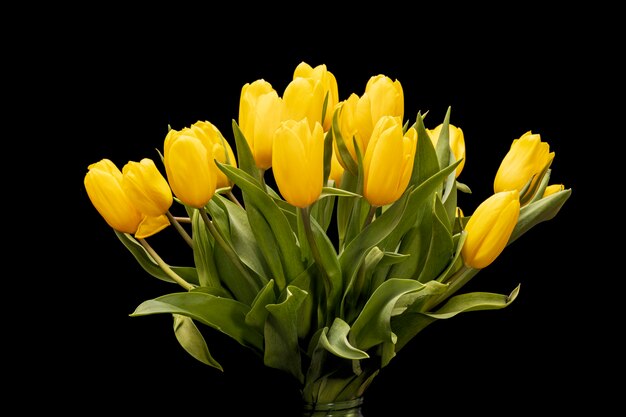 Strauß gelber Tulpen auf schwarzem Hintergrund. schöne Blumen. Gartenpflanze. 8. März. Hochwertiges Foto