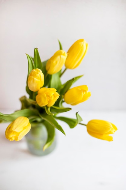 Strauß gelber Tulpen auf weißem Hintergrund