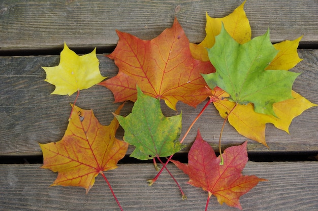 Strauß Herbstlaub