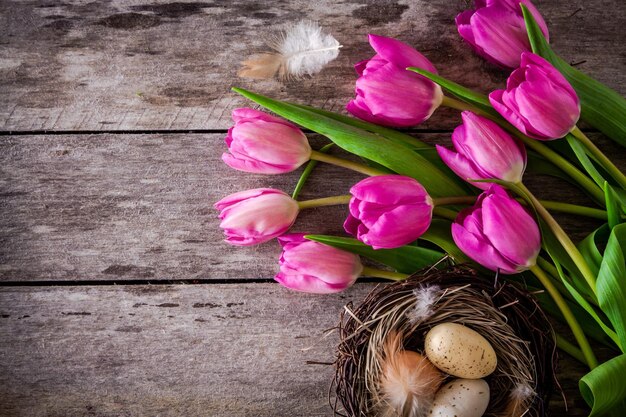 Strauß lila Tulpen mit einem Nest mit Eiern auf rustikalem Holzhintergrund