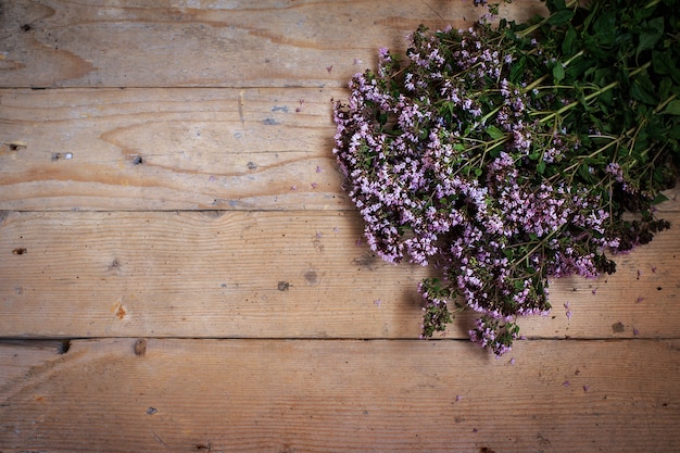 Strauß Oregano Majoran auf einem Holztisch