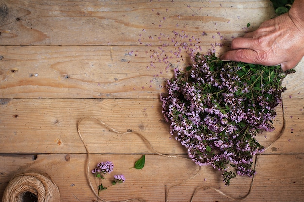 Strauß Oregano Majoran auf einem Holztisch