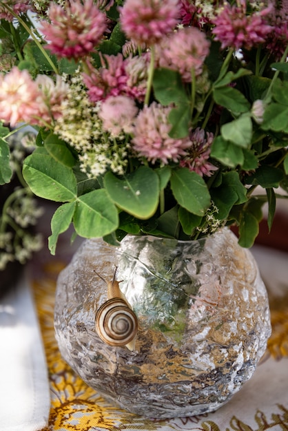 Strauß rosa Kleeblumen in runder Glasvase mit winziger niedlicher Schnecke darauf