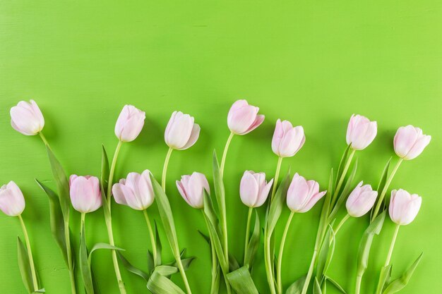 Strauß rosa Tulpen auf grünem Hintergrund.