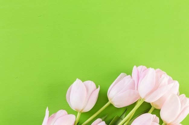 Strauß rosa Tulpen auf grünem Hintergrund.